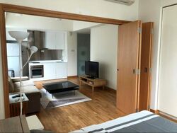 Park Infinia At Wee Nam (D11), Condominium #476521211